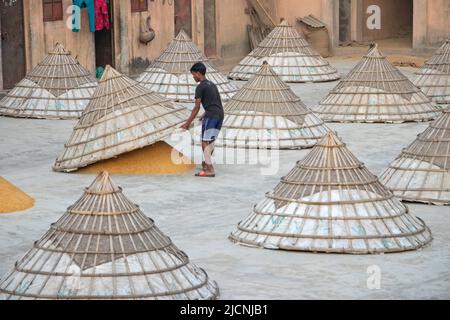 15. Juni 2022, Brahmanbaria, Chittagong, Bangladesh: Arbeiter bedeckt Reishügel mit riesigen, hutsförmigen Bambuszapfen auf einem Feld in Brahmanbaria, Bangladesch, nachdem sie in der sengenden Sonne getrocknet wurden. Dies ist eine traditionelle Methode, frisch gesammelter Reis nach dem Entfernen von Feuchtigkeit vor Regen und Nebel zu schützen. Der getrocknete Reis wird in kegelförmige Hügel gestapelt, so dass er unter die Zapfen passt. Reis ist das Grundnahrungsmittel von etwa 140 Millionen Menschen in Bangladesch. Es stellt fast 48 % der ländlichen Beschäftigung, etwa zwei Drittel der gesamten Kalorienzufuhr und etwa die Hälfte des gesamten Protein-i-Anteils bereit Stockfoto