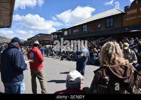 Jackson, WY. USA. 5/21/2022. Boy Scouts of America: Jährliche Auktion von Elch- und Elchgeweih plus Bisons-Schädel. Startpreis pro Pfund: $18 Stockfoto