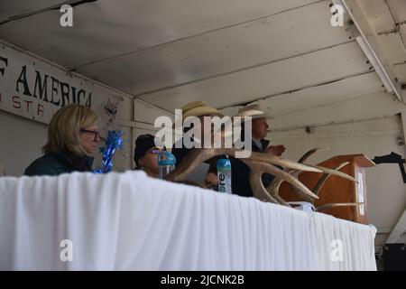 Jackson, WY. USA. 5/21/2022. Boy Scouts of America: Jährliche Auktion von Elch- und Elchgeweih plus Bisons-Schädel. Startpreis pro Pfund: $18 Stockfoto