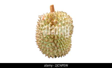 Beliebte Früchte in Thailand. Durian isoliert auf weißem Hintergrund. Stockfoto
