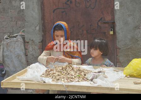 Lahore, Punjab, Pakistan. 12.. Juni 2022. Pakistanische Zigeunerhändler Kinder verkaufen Gemüse auf dem Badami Bagh Gemüsemarkt, als Worldwide den Internationalen Tag gegen die Kinderarbeit in Lahore feiert. (Bild: © Rana Sajid Hussain/Pacific Press via ZUMA Press Wire) Stockfoto