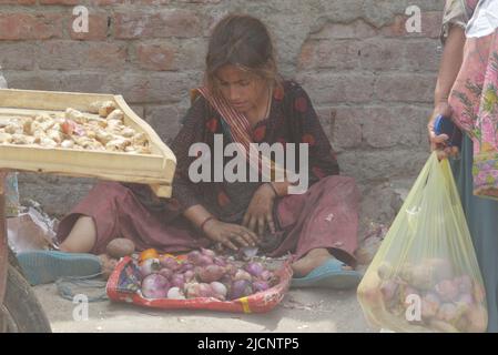 Lahore, Punjab, Pakistan. 12.. Juni 2022. Pakistanische Zigeunerhändler Kinder verkaufen Gemüse auf dem Badami Bagh Gemüsemarkt, als Worldwide den Internationalen Tag gegen die Kinderarbeit in Lahore feiert. (Bild: © Rana Sajid Hussain/Pacific Press via ZUMA Press Wire) Stockfoto