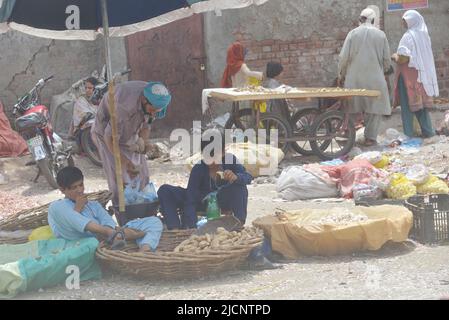 Lahore, Punjab, Pakistan. 12.. Juni 2022. Pakistanische Zigeunerhändler Kinder verkaufen Gemüse auf dem Badami Bagh Gemüsemarkt, als Worldwide den Internationalen Tag gegen die Kinderarbeit in Lahore feiert. (Bild: © Rana Sajid Hussain/Pacific Press via ZUMA Press Wire) Stockfoto