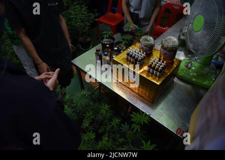 12. Juni 2022, Samut Prakan, Thailand: Die Atmosphäre der Veranstaltung ''Cannabis Samut Prakan'', nachdem die Regierung am 9. Juni 2022 bekannt gegeben hatte, dass Cannabis vom Drogenstatus freigesetzt wurde, was bei der Veranstaltung die Händler von Cannabispflanzen, Oder der Verkauf von verarbeiteten Produkten, die aus Cannabis gewonnen wurden, erregte die Aufmerksamkeit der Menschen im Lager an der Thepharak Road, Provinz Samut Prakan.Cannabis in Thailand wird für medizinisches, medizinisches und wirtschaftliches Einkommen verwendet, wo Menschen Cannabis zum Verzehr anbauen können, Tetrahydroconnabinol (THC) von mehr als 0,2 % gilt als Droge. Und illegal. (Kredit Stockfoto