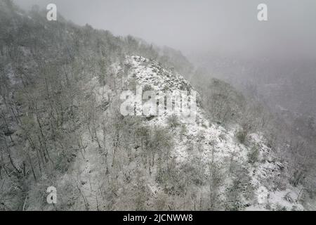 Luftige neblige Landschaft mit Bergklippen bedeckt mit frischem Schnee während heftigem Schneefall im Winter Bergwald an kalten, ruhigen Tag Stockfoto