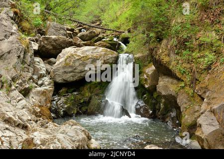 Ein kleiner Wasserfall bahnt sich seinen Weg durch die Steine im Sommerwald. Wasserfall des Tevenek Flusses (Dritter Fluss), Altai, Sibirien, Russland. Stockfoto