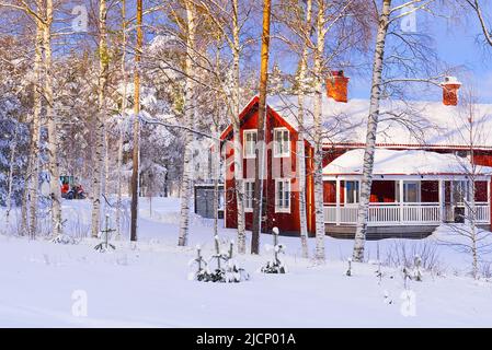 Nordische Winterlandschaft. Panoramablick auf die mit Frostbäumen bedeckten Schneeverwehungen. Stockfoto