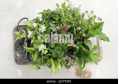 Essbare Pflanzen und Blumen auf hellem Hintergrund. Wildkräuter als Quellen von Carotinoiden. Flach liegend, Draufsicht Stockfoto