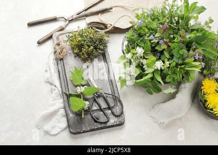 Essbare Pflanzen und Blumen auf hellem Hintergrund. Wildkräuter als Quellen von Carotinoiden. Stockfoto