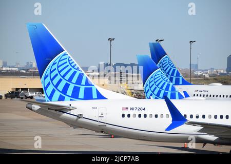 Drei Flugzeuge von United Airlines parkten an einem Terminal am Dallas Fort Worth International Airport (DFW Airport). Das Flugzeug im Vordergrund ist eine Boeing 73 Stockfoto
