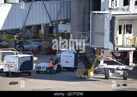 Ein Mitarbeiter von United Airlines im Rampendienst zwischen Gepäckwagen vor Terminal E am internationalen Flughafen Dallas-Fort Worth (DFW Airport) Stockfoto