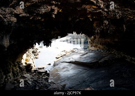 Admirals Arch - Kangaroo Island - Australien Stockfoto