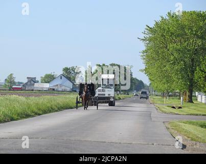 Ein Trucker fährt geduldig in einem Buggy hinter einer Amish-Frau im ländlichen Osten von Illinois (in der Nähe von Arthur Illinois) Stockfoto