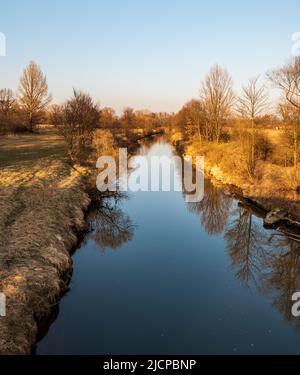 Odra Fluss mit Wiese und Bäumen in der Umgebung in CHKO Poodri in der Tschechischen republik während des frühen Frühlings Abend Stockfoto