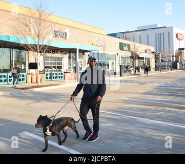 Ein afroamerikanischer Mann, der an einem kühlen Frühlingsmorgen in Irving, Texas, zu seinem Boxenbullen läuft Stockfoto