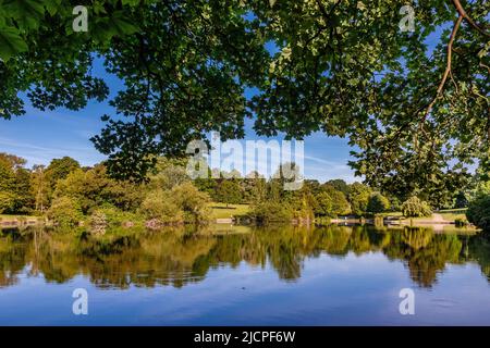 Northampton, Großbritannien. 15.. Juni 2022. Wetter in Großbritannien. Die Temperaturen werden heute auf 29 Grad prognostiziert. Ein Spaziergang am frühen Morgen um den Abington Park See mit Reflexen der Bäume auf der Wasseroberfläche. Kredit: Keith J Smith./Alamy Live Nachrichten. Stockfoto