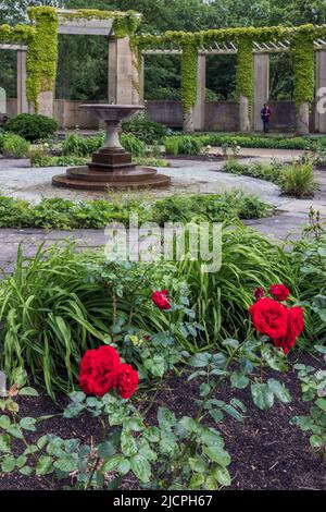 Der Rosengarten im Tiergarten, dem größten Park in Berlin, Deutschland, Europa Stockfoto