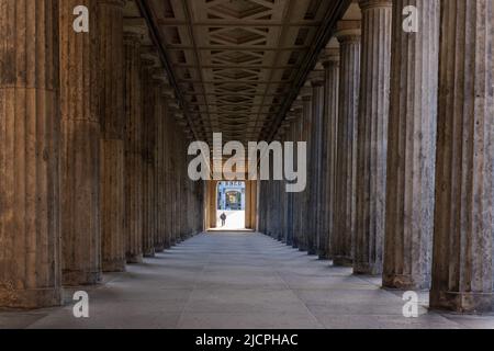 Klassische dorische Säulen im Innenhof der Kolonnade vor der Alten Nationalgalerie, Alte Nationalgalerie, auf der Museumsinsel in Berlin, Deutschland. Stockfoto