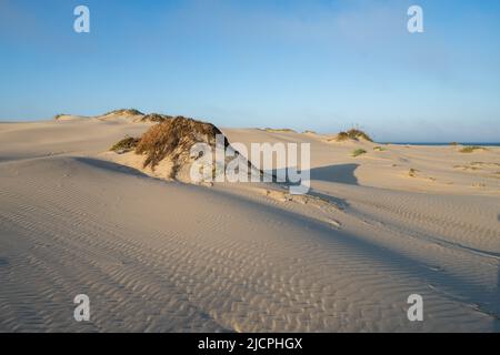 Wellenmuster auf den Vordunen auf South Padre Island, Texas. Stockfoto