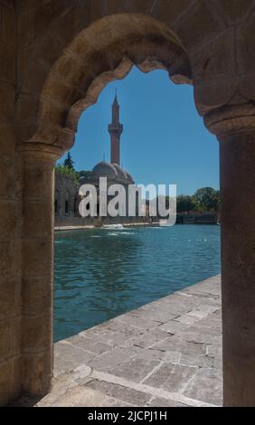 Halil-ur Rahman Moschee und Fischsee bekannt als Balikligol in Sanliurfa, Türkei Stockfoto