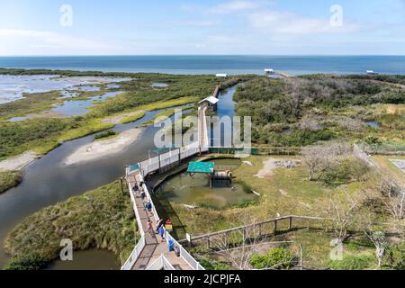 Eine Promenade durch die Feuchtgebiete des South Padre Island Birding and Nature Center und der Laguna Madre dahinter. Texas. Stockfoto