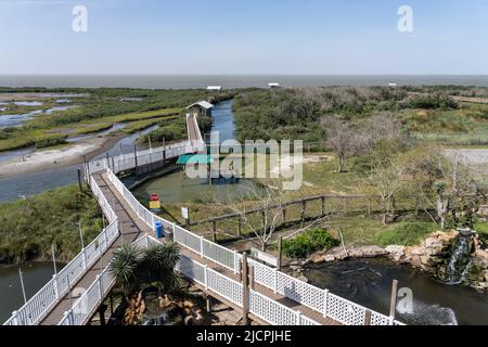 Eine Promenade durch die Feuchtgebiete des South Padre Island Birding and Nature Center und der Laguna Madre dahinter. Texas. Stockfoto