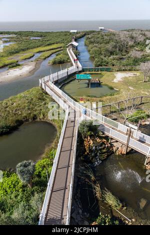 Eine Promenade durch die Feuchtgebiete des South Padre Island Birding and Nature Center und der Laguna Madre dahinter. Texas. Stockfoto