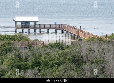 Zwei Fotografen fotografieren Vögel von einer Promenade im South Padre Island Birding and Nature Center in Texas. Stockfoto