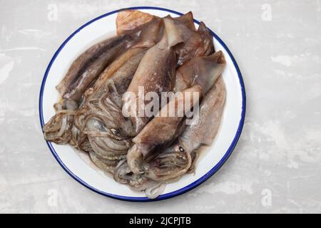 Viele rohe, nicht gefrorene Tintenfische auf weißer Schale auf grauer Keramik Stockfoto