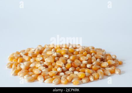 Gruppe von gelben rohen süßen Maiskörnern für Popcorn, natürliche reife Maiskörner „Zea Mays“ mit Nahaufnahme. Isoliert auf weißem Hintergrund Stockfoto