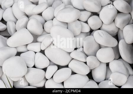 Natürliche Textur. Hintergrund aus weißen Kieselsteinen. Stockfoto
