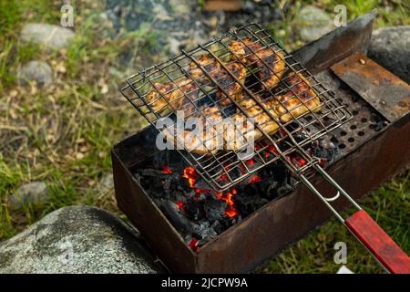 Hähnchenflügel in Metallrost grieren auf einem Brazier mit brennender Holzkohle. Grillparty im Freien Stockfoto