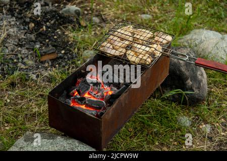 Rohe Hähnchenflügel im Metallrost grieren auf einem Brazier mit brennender Holzkohle. Grillparty im Freien Stockfoto