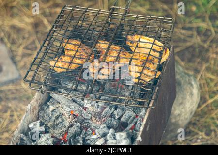 Hähnchenflügel in Metallrost grieren auf einem Brazier mit brennender Holzkohle. Grillparty im Freien Stockfoto