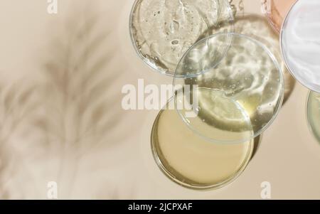 Kosmetikprodukte in Klarglasschalen und Ästen Schatten auf beigem Hintergrund Stockfoto