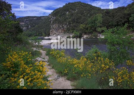 Frankreich, Ardèche Labastide de Virac die Schluchten des Ardèche vom Ufer des Ardèche Stockfoto