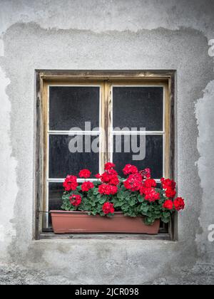 Altes Fenster in Norditalien fotografiert im Norden Italiens Stockfoto