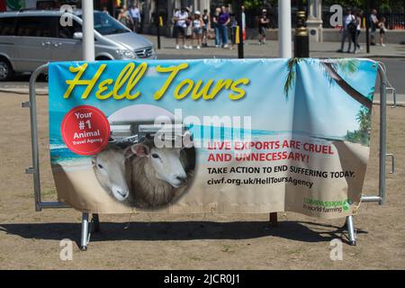 London uk 14. june 2022 Protest gegen Lebendviehexporte unterzeichnen Stockfoto