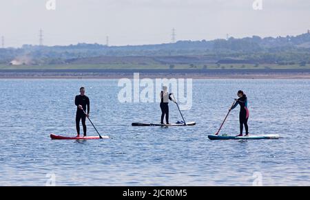 Portobello, Edinburgh, Schottland, Großbritannien. 15.06.2022. Hitzewelle verlockend die Paddlebarder auf den Firth of Forth, es ist ein paar Wochen her, dass sich irgendwelche aufgrund der jüngsten kühlen bewölkten Bedingungen gewagt haben. Die Temperatur von 18 Grad an diesem Morgen brachte einige für die Übung heraus. Kredit: Scottiscreative/alamy Live Nachrichten. Stockfoto