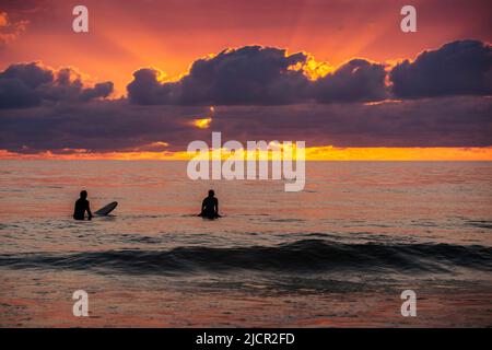 Junges Paar beim Surfen am Strand von El Palmar bei Sonnenuntergang, Cádiz, Andalusien, Spanien Stockfoto