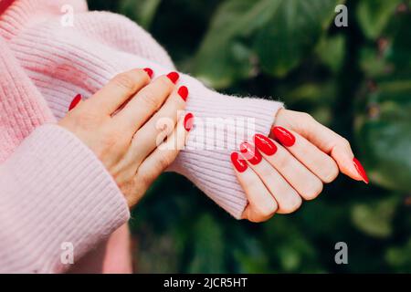 Weibliche Hände mit roten Nägeln und Wollpullover in Pink auf grünem Hintergrund. Rote Maniküre, Nahaufnahme.к Stockfoto