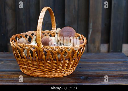 Essbare Pilze Steinpilze im Weidenkorb auf dem Holzhintergrund Stockfoto