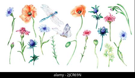 Set von Wiese blau, rote Blumen, Schmetterling, Libelle Aquarell Illustration isoliert. Kornblume, Mohn, Insekten, Wildblumen handbemalt. Design el Stockfoto