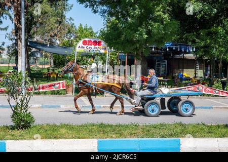 Ein alter Mann fährt einen Pferdewagen auf die Straße. Birecik, Türkiye. Stockfoto