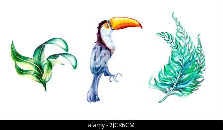 Set aus toucan exotischen tropischen Vogel Aquarell Illustration, handbemalt verschiedenen bunten exotischen Blatt, tropische Blätter, Handfläche für Kompositionen, Greetin Stockfoto