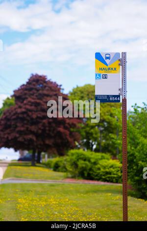 Halifax Transit Bus Stop Information Schild mit Zugang für Behinderte und Stop-Nummer für die Verfolgung. HALIFAX, NOVA SCOTIA, KANADA - JUNI 2022 Stockfoto