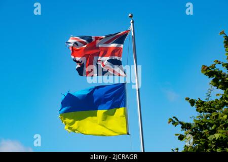 Union Jack und die ukrainische Flagge fliegen auf einer Farm in Essex England, Großbritannien, Juni 2022 Stockfoto