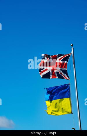Union Jack und die ukrainische Flagge fliegen auf einer Farm in Essex England, Großbritannien, Juni 2022 Stockfoto
