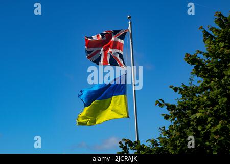 Union Jack und die ukrainische Flagge fliegen auf einer Farm in Essex England, Großbritannien, Juni 2022 Stockfoto