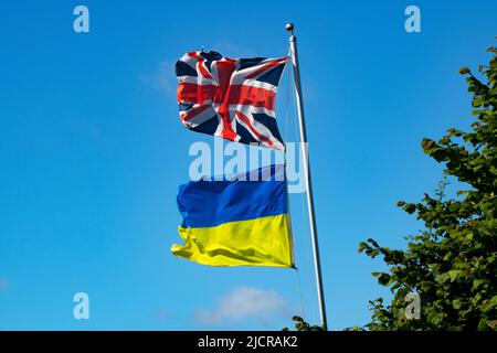 Union Jack und die ukrainische Flagge fliegen auf einer Farm in Essex England, Großbritannien, Juni 2022 Stockfoto